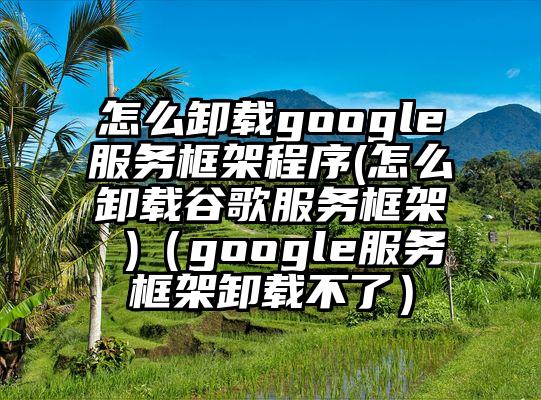 怎么卸载google服务框架程序(怎么卸载谷歌服务框架 )（google服务框架卸载不了）