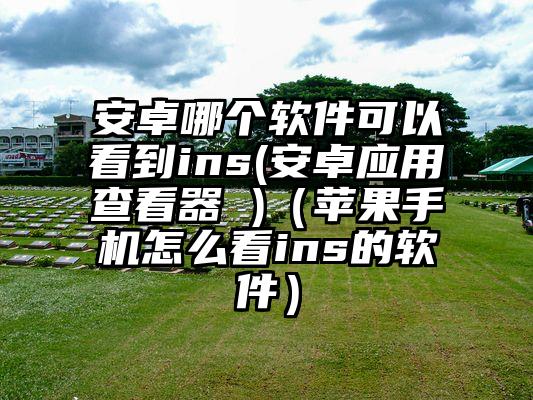 安卓哪个软件可以看到ins(安卓应用查看器 )（苹果手机怎么看ins的软件）