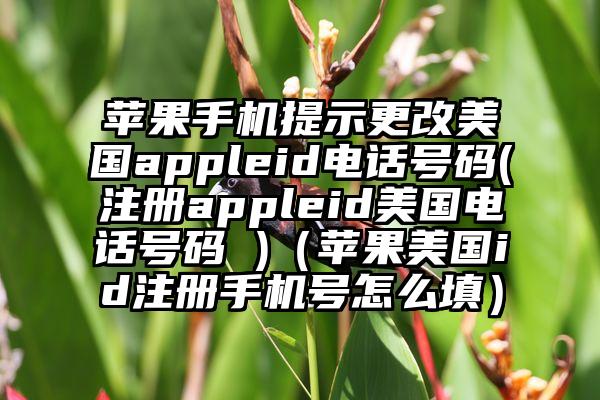 苹果手机提示更改美国appleid电话号码(注册appleid美国电话号码 )（苹果美国id注册手机号怎么填）