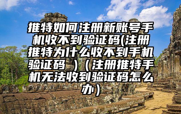 推特如何注册新账号手机收不到验证码(注册推特为什么收不到手机验证码 )（注册推特手机无法收到验证码怎么办）