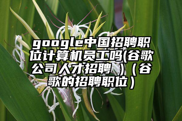 google中国招聘职位计算机员工吗(谷歌公司人才招聘 )（谷歌的招聘职位）