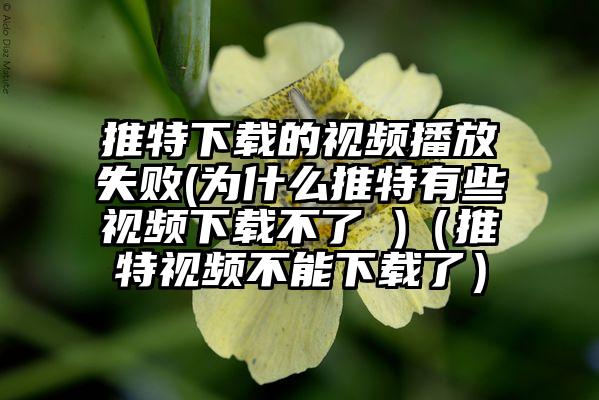 推特下载的视频播放失败(为什么推特有些视频下载不了 )（推特视频不能下载了）