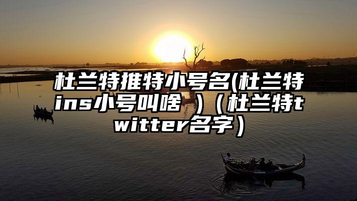 杜兰特推特小号名(杜兰特ins小号叫啥 )（杜兰特twitter名字）