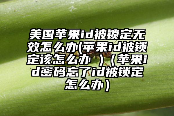 美国苹果id被锁定无效怎么办(苹果id被锁定该怎么办 )（苹果id密码忘了id被锁定怎么办）