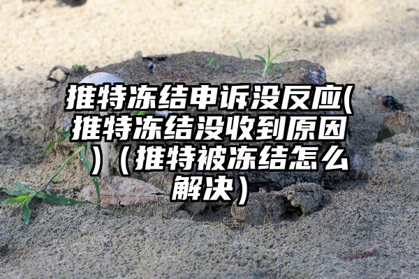 推特冻结申诉没反应(推特冻结没收到原因 )（推特被冻结怎么解决）