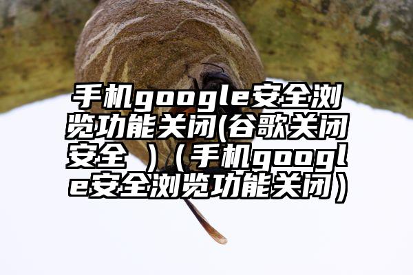 手机google安全浏览功能关闭(谷歌关闭安全 )（手机google安全浏览功能关闭）