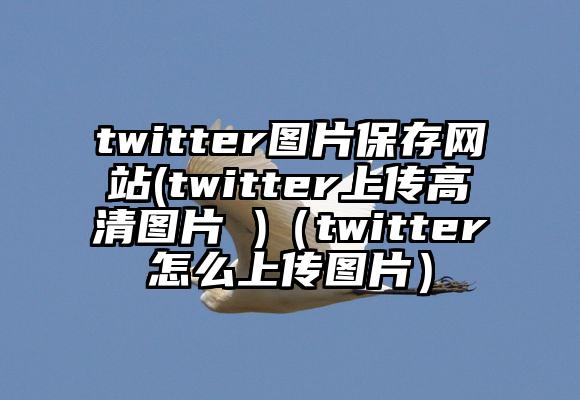 twitter图片保存网站(twitter上传高清图片 )（twitter怎么上传图片）