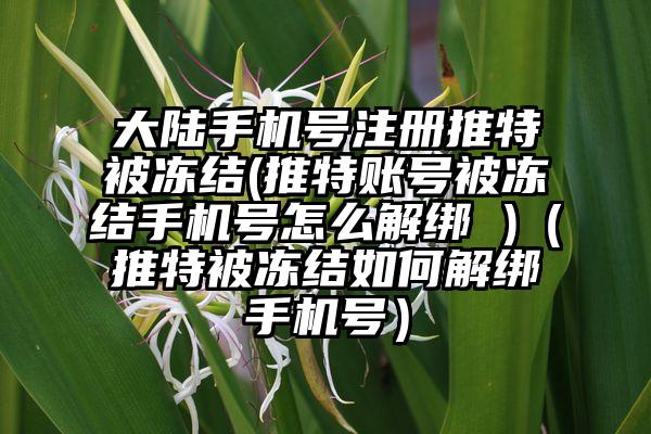 大陆手机号注册推特被冻结(推特账号被冻结手机号怎么解绑 )（推特被冻结如何解绑手机号）