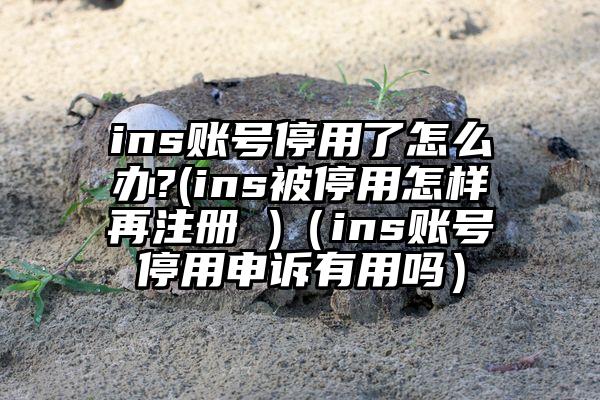 ins账号停用了怎么办?(ins被停用怎样再注册 )（ins账号停用申诉有用吗）