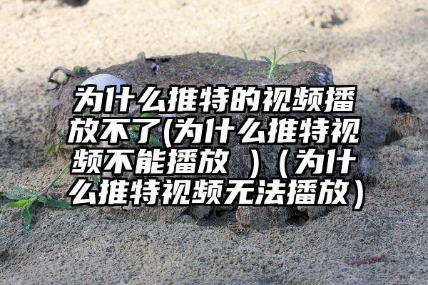 为什么推特的视频播放不了(为什么推特视频不能播放 )（为什么推特视频无法播放）