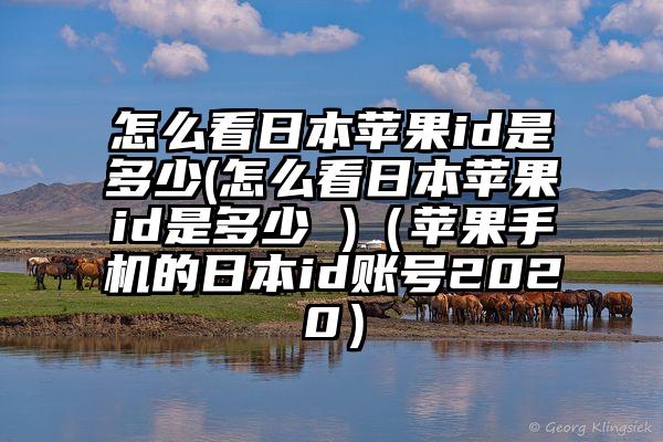 怎么看日本苹果id是多少(怎么看日本苹果id是多少 )（苹果手机的日本id账号2020）