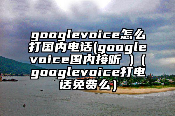 googlevoice怎么打国内电话(googlevoice国内接听 )（googlevoice打电话免费么）