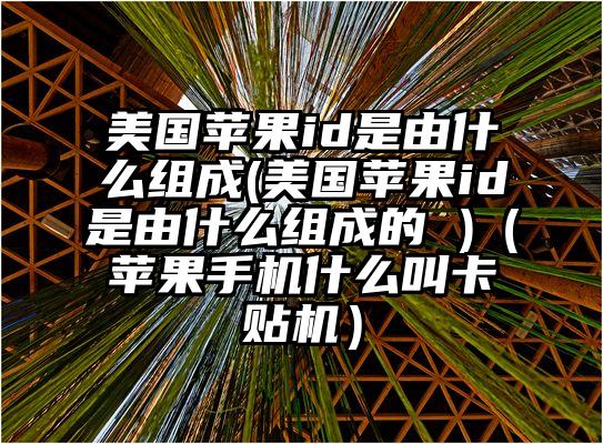 美国苹果id是由什么组成(美国苹果id是由什么组成的 )（苹果手机什么叫卡贴机）