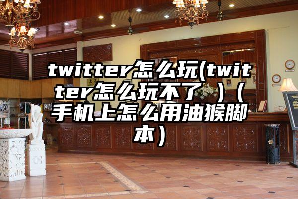 twitter怎么玩(twitter怎么玩不了 )（手机上怎么用油猴脚本）