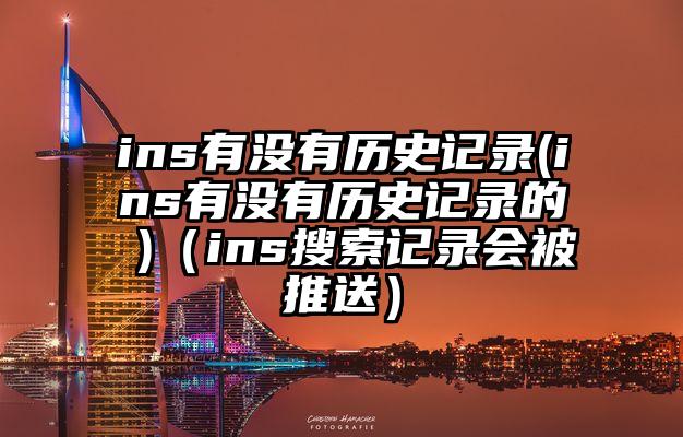 ins有没有历史记录(ins有没有历史记录的 )（ins搜索记录会被推送）