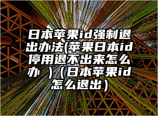 日本苹果id强制退出办法(苹果日本id停用退不出来怎么办 )（日本苹果id怎么退出）