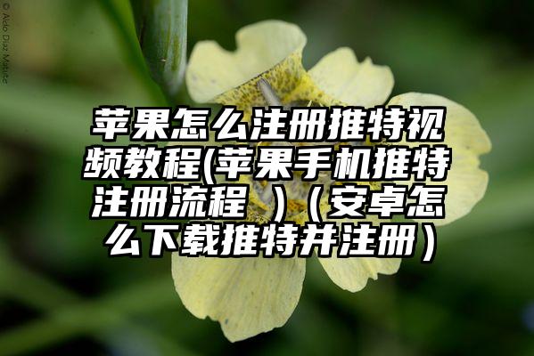 苹果怎么注册推特视频教程(苹果手机推特注册流程 )（安卓怎么下载推特并注册）