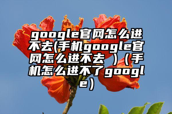 google官网怎么进不去(手机google官网怎么进不去 )（手机怎么进不了google）