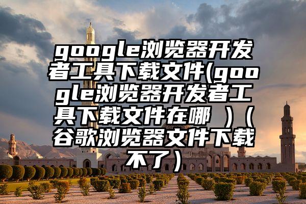 google浏览器开发者工具下载文件(google浏览器开发者工具下载文件在哪 )（谷歌浏览器文件下载不了）