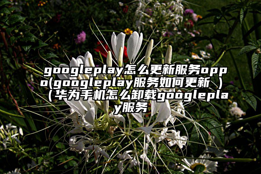 googleplay怎么更新服务oppo(googleplay服务如何更新 )（华为手机怎么卸载googleplay服务