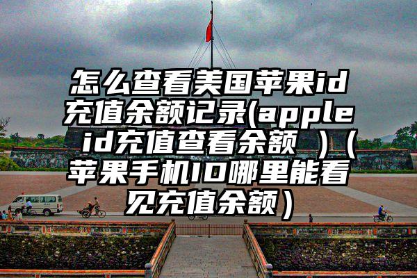 怎么查看美国苹果id充值余额记录(apple id充值查看余额 )（苹果手机ID哪里能看见充值余额）