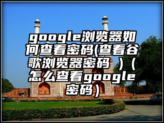 google浏览器如何查看密码(查看谷歌浏览器密码 )（怎么查看google密码）