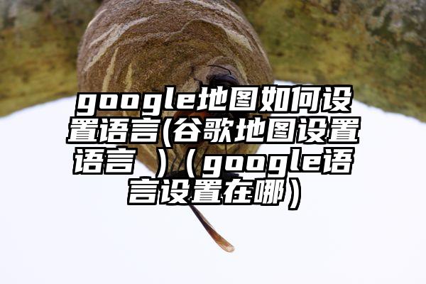 google地图如何设置语言(谷歌地图设置语言 )（google语言设置在哪）