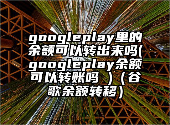 googleplay里的余额可以转出来吗(googleplay余额可以转账吗 )（谷歌余额转移）