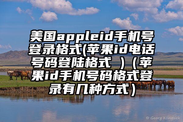 美国appleid手机号登录格式(苹果id电话号码登陆格式 )（苹果id手机号码格式登录有几种方式）