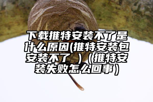 下载推特安装不了是什么原因(推特安装包安装不了 )（推特安装失败怎么回事）