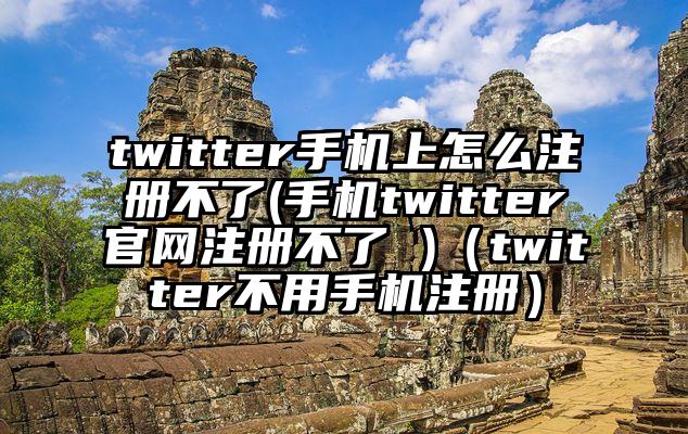 twitter手机上怎么注册不了(手机twitter官网注册不了 )（twitter不用手机注册）