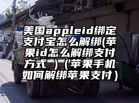 美国appleid绑定支付宝怎么解绑(苹果id怎么解绑支付方式 )（苹果手机如何解绑苹果支付）