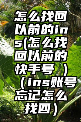 怎么找回以前的ins(怎么找回以前的快手号 )（ins账号忘记怎么找回）