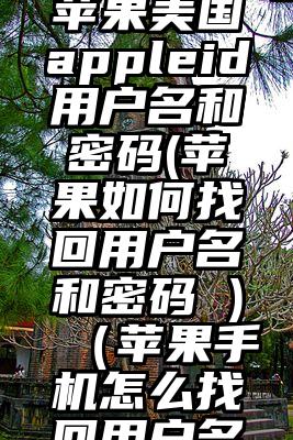 怎么找回苹果美国appleid用户名和密码(苹果如何找回用户名和密码 )（苹果手机怎么找回用户名和密码）