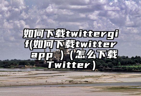 如何下载twittergif(如何下载twitter app )（怎么下载Twitter）