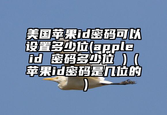 美国苹果id密码可以设置多少位(apple id 密码多少位 )（苹果id密码是几位的）