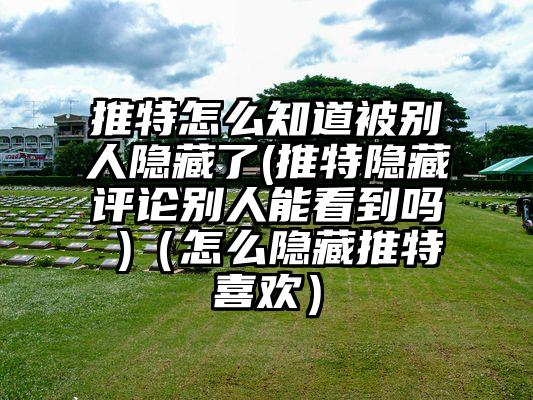 推特怎么知道被别人隐藏了(推特隐藏评论别人能看到吗 )（怎么隐藏推特喜欢）