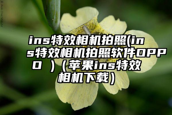 ins特效相机拍照(ins特效相机拍照软件OPPO )（苹果ins特效相机下载）