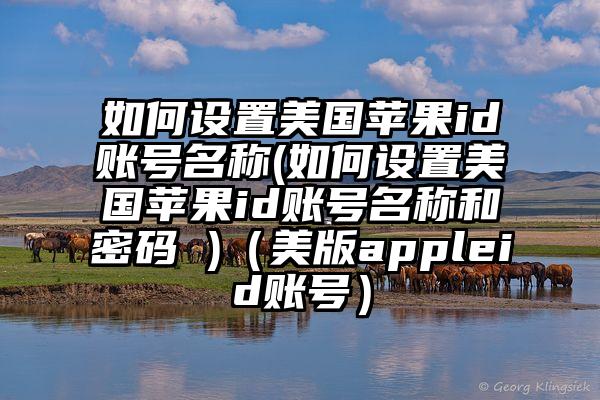 如何设置美国苹果id账号名称(如何设置美国苹果id账号名称和密码 )（美版appleid账号）