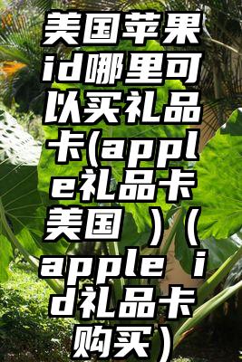 美国苹果id哪里可以买礼品卡(apple礼品卡美国 )（apple id礼品卡购买）