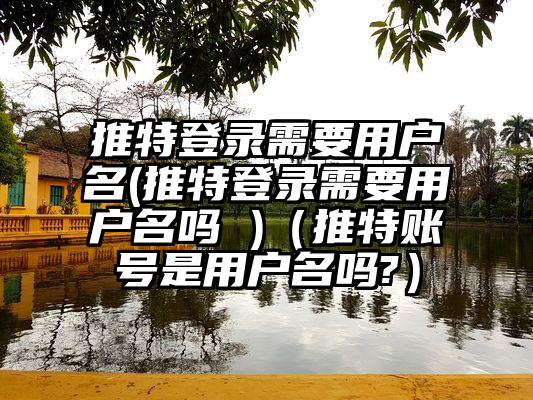 推特登录需要用户名(推特登录需要用户名吗 )（推特账号是用户名吗?）