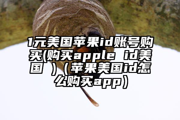 1元美国苹果id账号购买(购买apple id美国 )（苹果美国id怎么购买app）