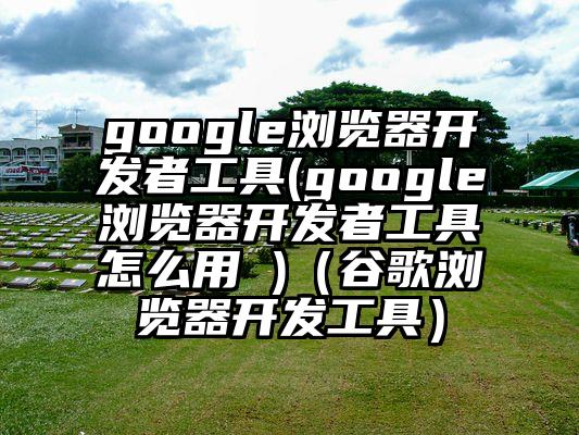 google浏览器开发者工具(google浏览器开发者工具怎么用 )（谷歌浏览器开发工具）