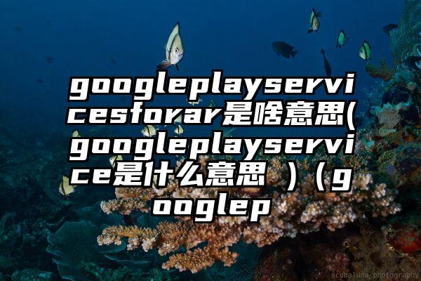 googleplayservicesforar是啥意思(googleplayservice是什么意思 )（googlep