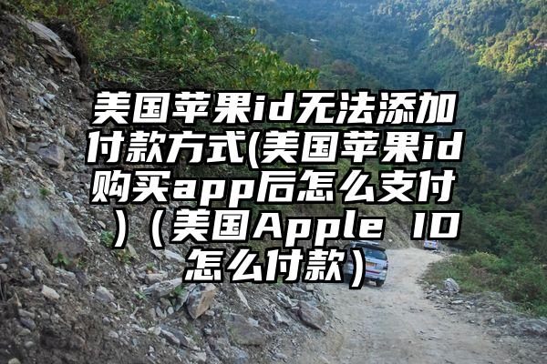 美国苹果id无法添加付款方式(美国苹果id购买app后怎么支付 )（美国Apple ID怎么付款）