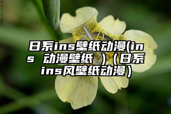 日系ins壁纸动漫(ins 动漫壁纸 )（日系ins风壁纸动漫）