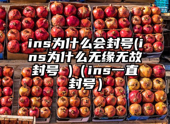 ins为什么会封号(ins为什么无缘无故封号 )（ins一直封号）