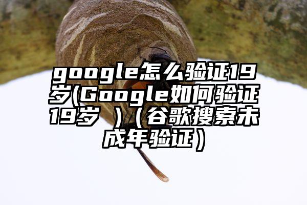 google怎么验证19岁(Google如何验证19岁 )（谷歌搜索未成年验证）