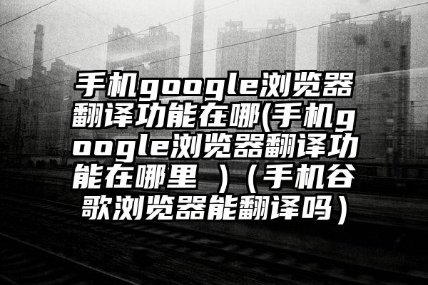 手机google浏览器翻译功能在哪(手机google浏览器翻译功能在哪里 )（手机谷歌浏览器能翻译吗）