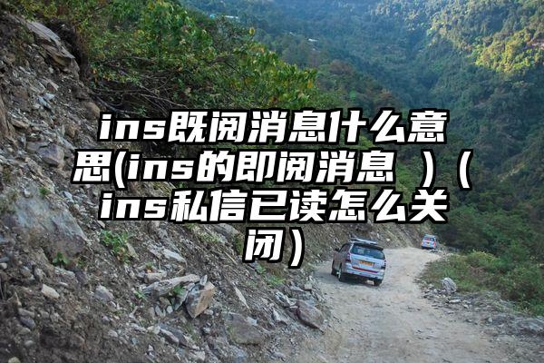 ins既阅消息什么意思(ins的即阅消息 )（ins私信已读怎么关闭）